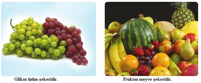 glikoz ve fruktoz