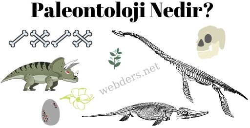 Paleontoloji nedir