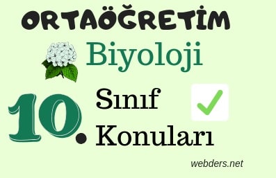 10. sınıf biyoloji konuları