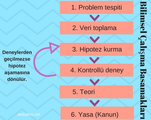 bilimsel çalışma basamakları