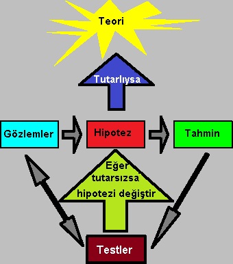 bilimsel yöntemin basamakları