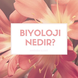 biyoloji nedir?