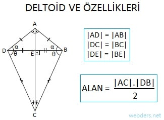 Deltoid özellikleri