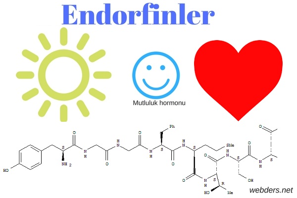 endorfin mutluluk hormonu