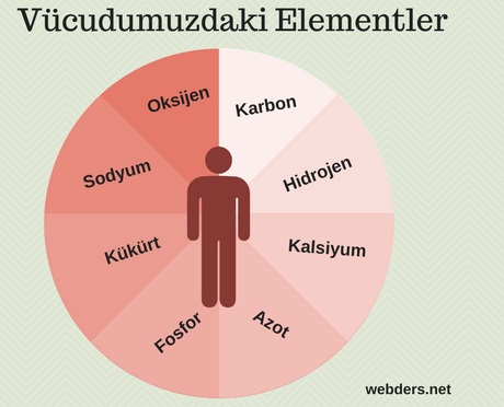 insan vücudunda bulunan elementler