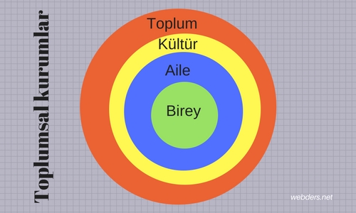 kurumların toplum hayatındaki yeri nedir