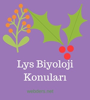 lys biyoloji konuları